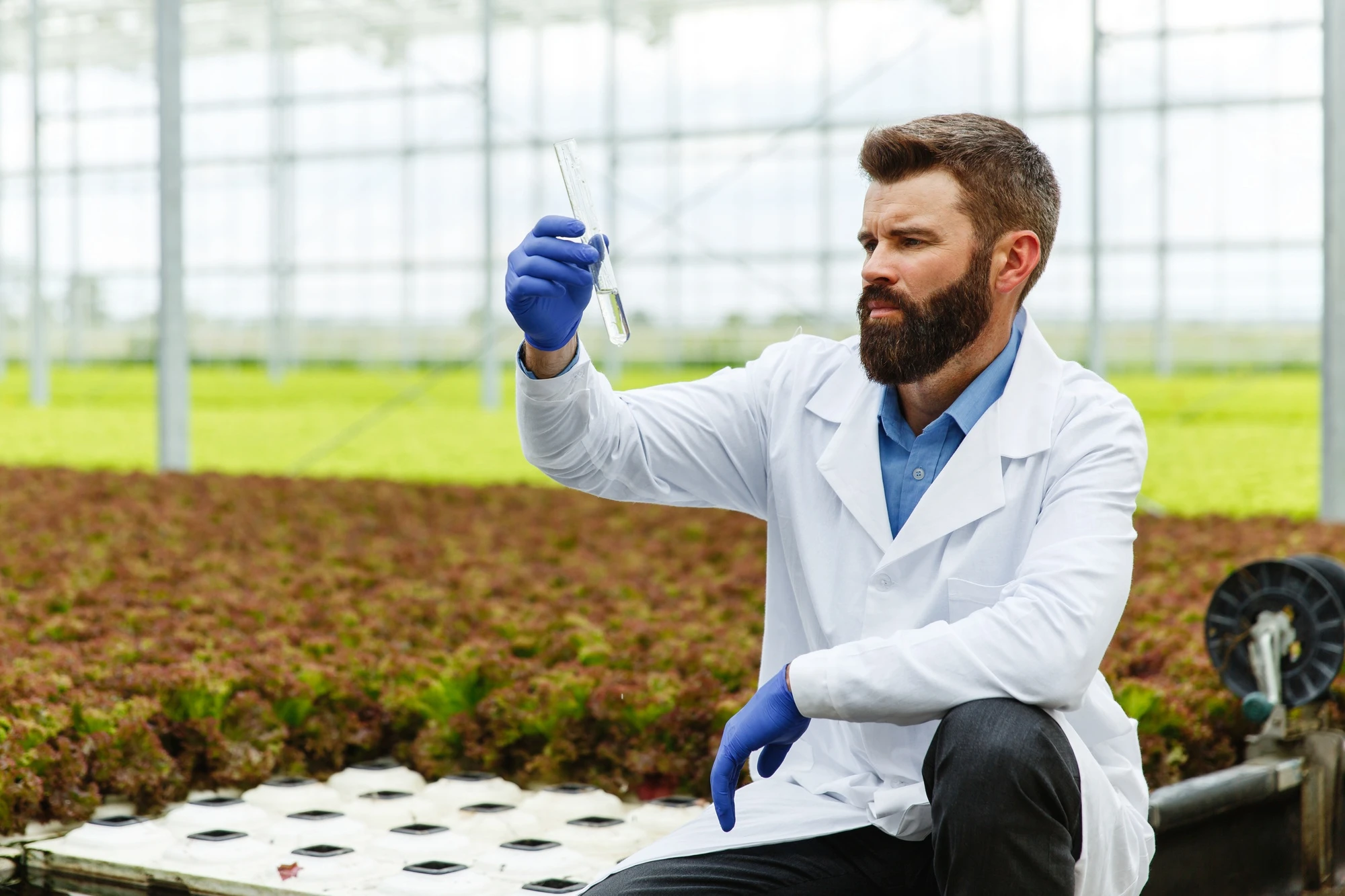 Technician using calibrated test equipment for plant performance testing in Washington